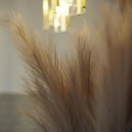Hayy Luxury Homes Near Centre