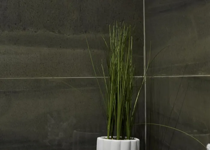 Hayy Luxury Homes Near Centre 布雷得佛