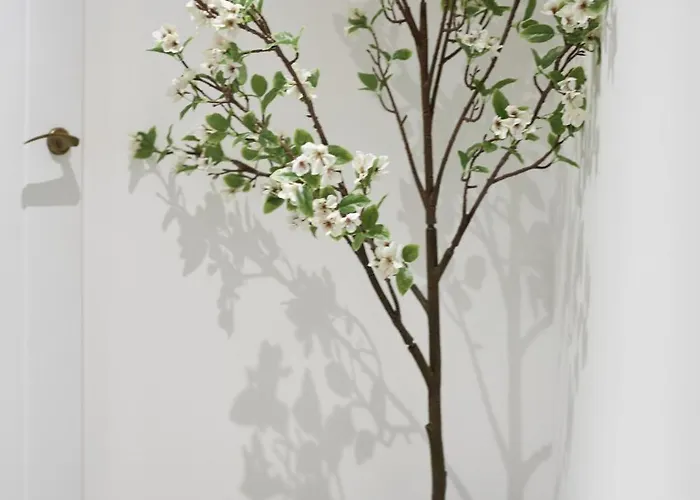 Hayy Luxury Homes Near Centre 4*