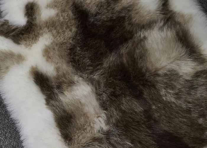 Hayy Luxury Homes Near Centre