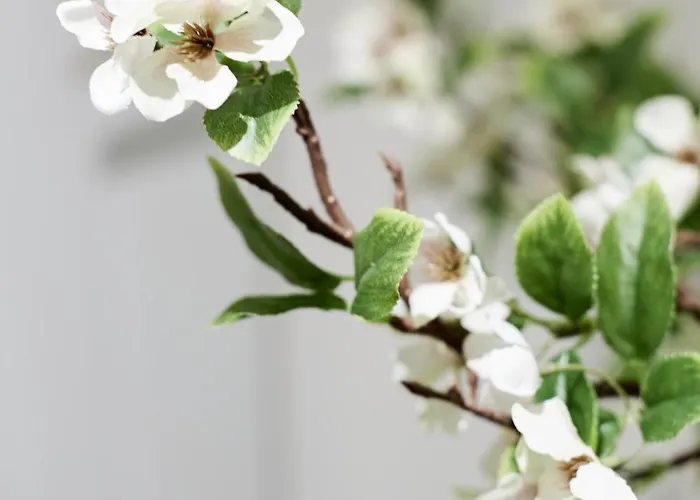 Aparthotel Hayy Luxury Homes Near Centre Bradford (West Yorkshire)