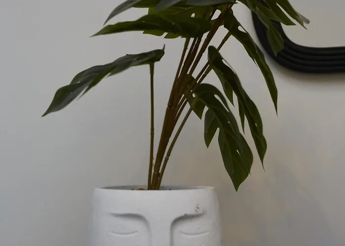 Hayy Luxury Homes Near Centre 4* 布雷得佛